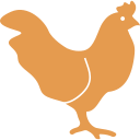gà thả vườn